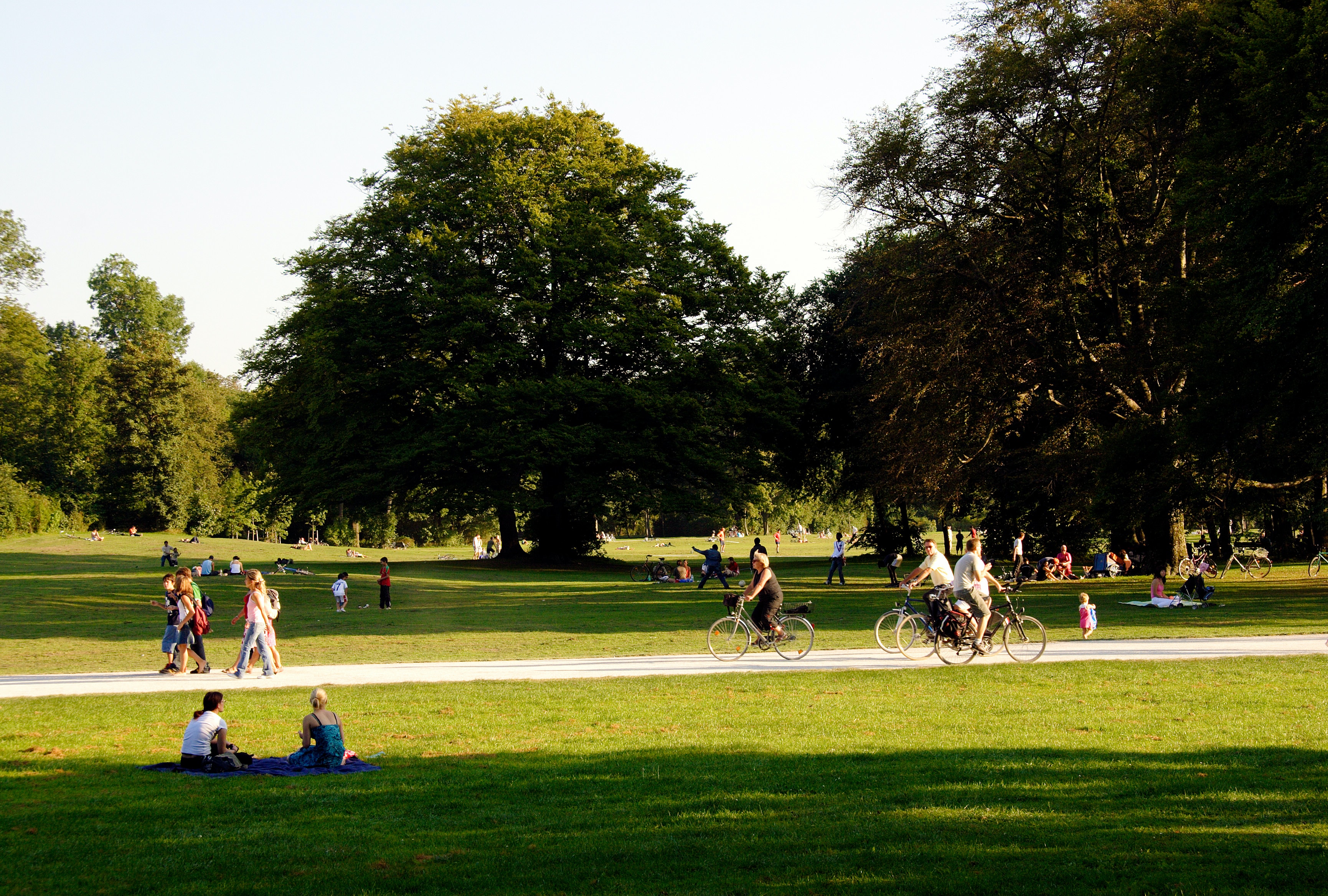 En park med träd och människor som både cyklar, går och har picknick. 