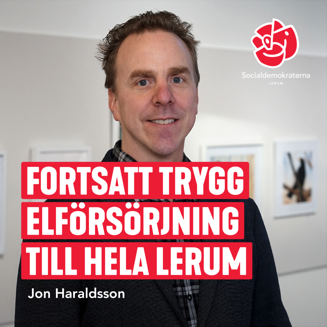 Jon Haraldsson, Kommunstyrelsen